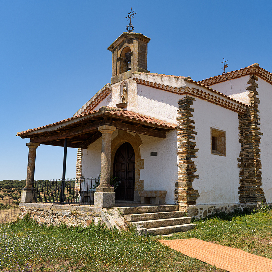 tordelalosa6